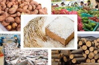 Vượt qua “giông bão”, 2019 xuất khẩu nông sản sẽ đạt kỷ lục với kim ngạch 41,3 tỷ USD