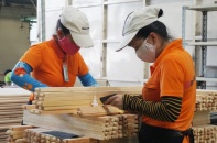 Ngành lâm nghiệp đặt mục tiêu xuất khẩu năm 2020 đạt từ 12,5 tỷ USD