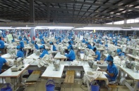 TNG: Doanh thu 2019 đạt 4.612 tỷ đồng, vượt 11% chỉ tiêu