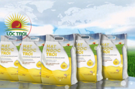 Lộc Trời không hoàn thành mục tiêu 2019, quý IV lợi nhuận sụt giảm mạnh hơn 42%