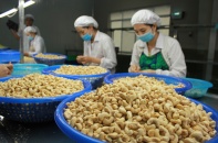 Xuất khẩu điều giảm, tồn kho ở mức cao