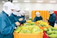 Quý I/2020, xuất khẩu nông lâm thủy sản ước đạt 9,06 tỷ USD