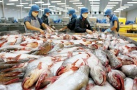 Hậu Covid-19, doanh nghiệp xuất khẩu cá tra có thể tăng tốc vào thị trường ASEAN
