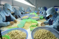 Vinacas: Doanh nghiệp điều nên bình tĩnh, không bán tháo