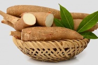  Trung Quốc tăng mua sắn nhằm phục hồi ngành chăn nuôi 