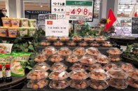 Nhờ công nghệ bảo quản, vải thiều đến Nhật vẫn tươi ngon sau 13 ngày trên biển