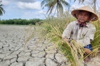 Nửa đầu năm 2020, thiên tai gây thiệt hại hơn 3.300 tỷ đồng