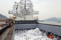 Doanh nghiệp xuất khẩu chính thức có "giấy thông hành" đưa gạo vào EU 