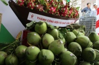 Thanh long, bưởi, dừa nhộn nhịp lên đường đi châu Âu