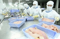 Thuỷ sản Nam Việt: Báo lãi quý II giảm 25%, chi phí bán hàng tăng đột biến 