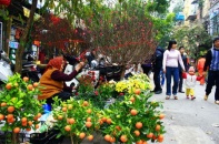 Tết nguyên đán Bính Thân người dân được nghỉ 9 ngày