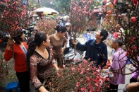 Hà Nội tổ chức 47 chợ hoa Xuân dịp Tết Bính Thân 2016