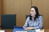 Giảm thuế cho doanh nghiệp: Chỉ căn cứ doanh thu và lao động là chưa đủ  