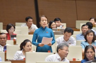 Quốc hội giám sát những gì trong năm chuyển giao nhiệm kỳ?