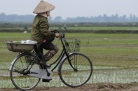 Sớm có quy định khuyến khích tập trung, tích tụ đất đai cho sản xuất nông nghiệp 