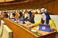 Chỉ tiêu bình đẳng giới trong lĩnh vực chính trị tiếp tục có tiến bộ