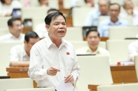 Tỷ lệ che phủ rừng đạt gần 42% là cố gắng vượt bậc của cả hệ thống chính trị