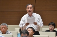 Đại biểu Quốc hội "truy" trách nhiệm cam kết ưu đãi dự án Lọc dầu Nghi Sơn gây thiệt hại lớn