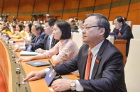 Gửi đánh giá bổ sung tình hình kinh tế - xã hội 2020 đến đại biểu Quốc hội
