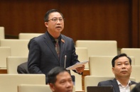 Đại biểu Lưu Bình Nhưỡng: "Cần cảnh giác tình trạng thâu tóm quyền lực bằng thể chế"