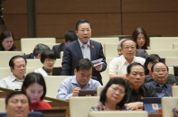 Đại biểu Lưu Bình Nhưỡng: Công lý thì làm sao có tỷ lệ