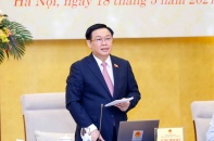 Báo cáo nhanh kết quả bầu cử vào ngày 24/5