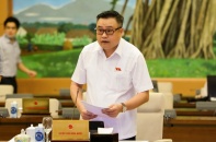 Nhiều cuộc kiểm toán phải dừng do Covid-19