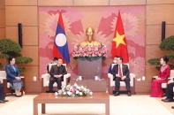 Việt Nam luôn ủng hộ mạnh mẽ công cuộc đổi mới của CHDCND Lào