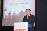 Cơ hội hợp tác giữa doanh nghiệp Việt - Ấn còn rất nhiều