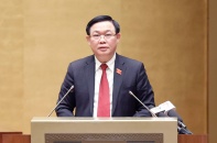 Vụ Việt Á là điển hình về hạn chế trong giám sát của HĐND