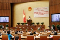 Cần thu hồi danh hiệu đối với nghệ sĩ lệch chuẩn