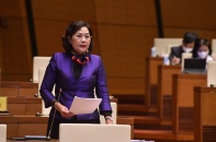 Thống đốc nói gì về cơ chế cấp hạn mức tín dụng?