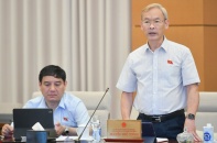 Vẫn băn khoăn luật hoá hành vi bạo lực gia đình