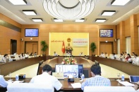 Đấu giá biển số xe ô tô: Khó xác định “biển đẹp”, “biển xấu”