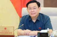"Áo quá chật", Thành phố Thủ Đức cần cơ chế đặc thù 