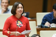 Lo lắng chỉ tiêu CPI, đại biểu chất vấn Thủ tướng