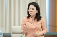 Không thể dùng cơ chế hành chính thu hồi đất cho dự án vì mục tiêu lợi nhuận