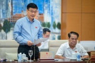 Ủy ban Kinh tế lo sức khỏe thị trường bất động sản 