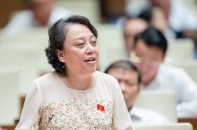 Sửa Luật Giá thế nào để hạn chế “tăng giá quá cao, ăn lời quá đáng”