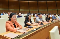 Quốc hội quyết định thành lập hai đoàn giám sát về chương trình phục hồi và bất động sản