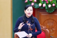 Bổ nhiệm bà Nguyễn Thanh Hải làm Trưởng Ban Công tác đại biểu