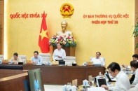Phó chủ tịch Quốc hội: "Cái gì cũng phải xin, doanh nghiệp mất cơ hội kinh doanh"
