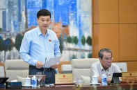 Cân nhắc giới hạn áp dụng thủ tục đầu tư đặc biệt