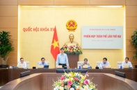 Thẩm tra cơ chế, chính sách đặc thù, đặc biệt phát triển kinh tế tư nhân