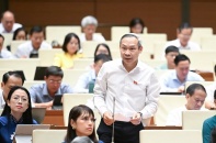 Đề nghị lập tổ chuyên gia rà soát độc lập toàn bộ văn bản quy phạm pháp luật