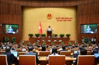 Tư nhân được tham gia Dự án đường sắt tốc độ cao Bắc - Nam
