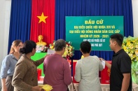 Xác nhận tư cách 500 đại biểu Quốc hội Khóa XVI