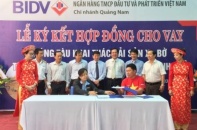 BIDV chi 1.000 tỷ đồng cho ngư dân vay vốn đối ứng đóng tàu "67"