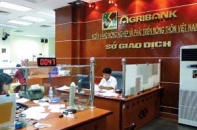 Agribank hỗ trợ các tỉnh bị hạn hán