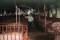 Ngân hàng mạnh tay tiếp sức cho hàng ngàn mô hình kinh tế